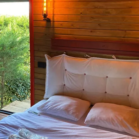 Pamera Garden Hotel 5*